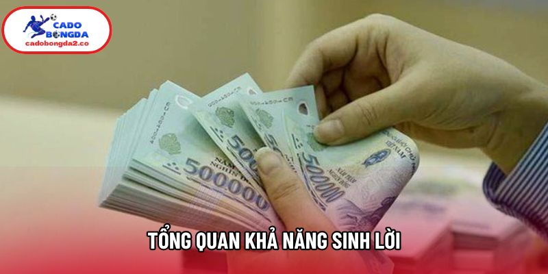 Tổng quan khả năng sinh lời Tổng quan khả năng sinh lời